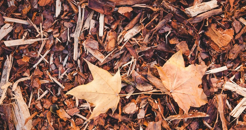 The Benefits Of Using Leaves As Mulch Barefoot Lawn Care
