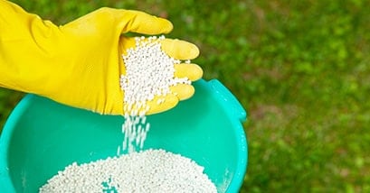 lawn fertilizer in hand