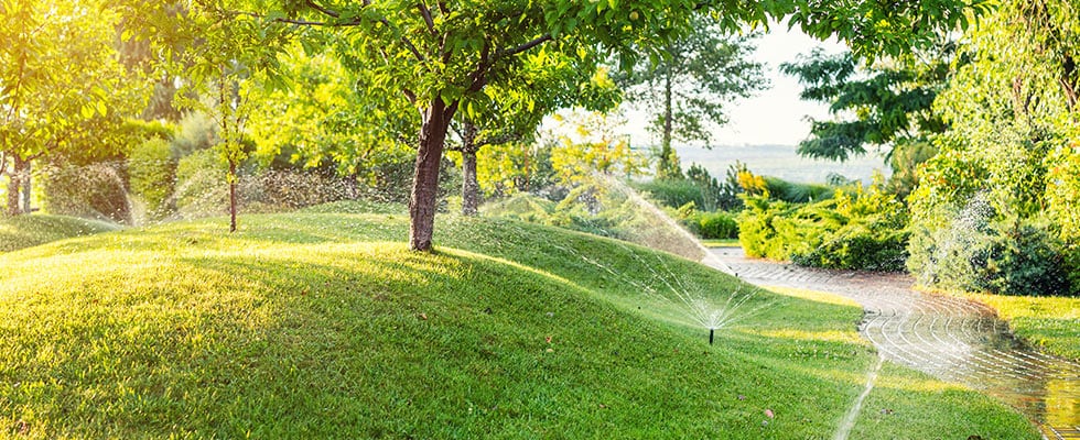 beautifully landscaped and hardscaped trail