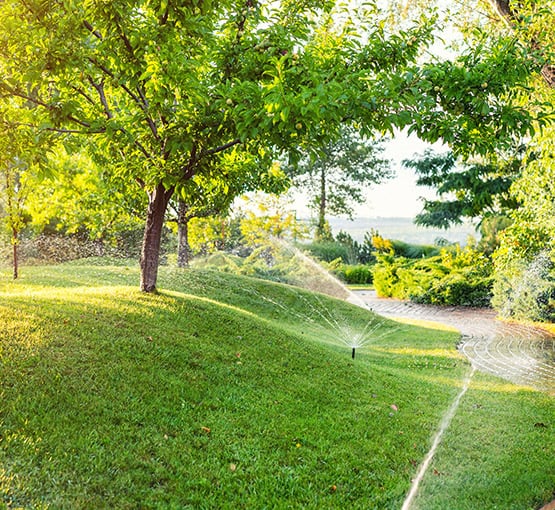 irrigation services