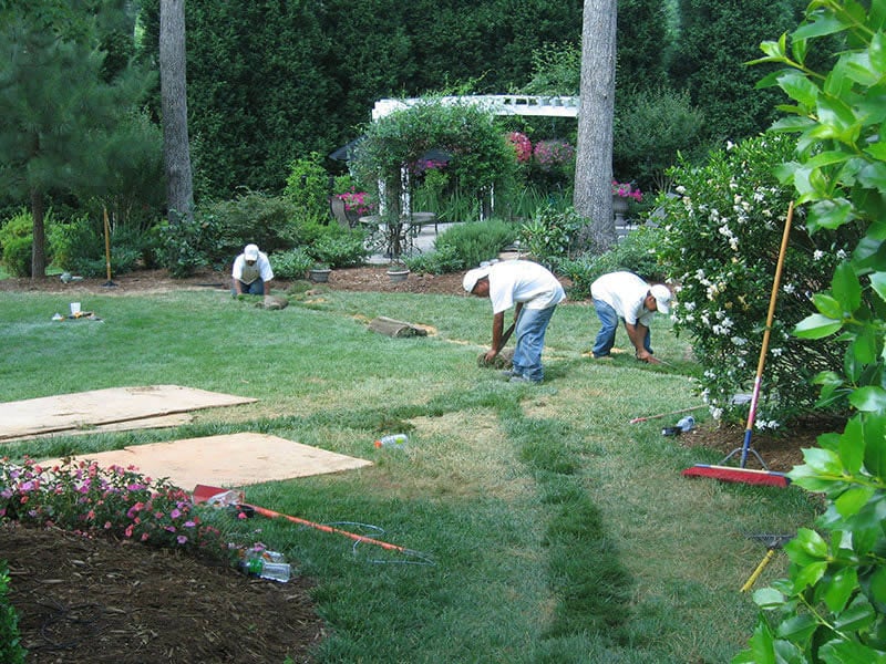 Barefoot team working in backyard