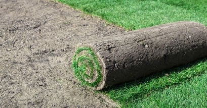 rolling out sod