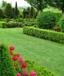 beautiful lawn, shrubs and flowers