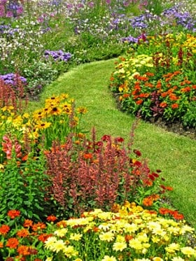 flower and garden maintenance