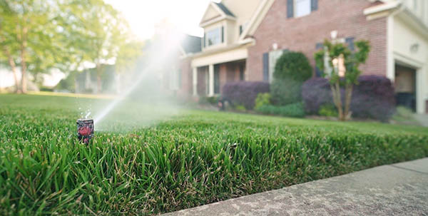 lawn care irrigation