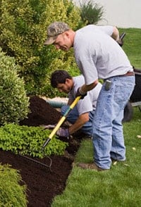 mulching