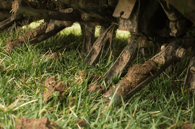 lawn core aeration