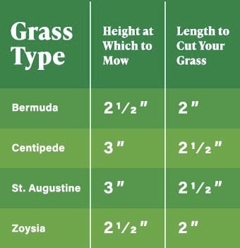 Grass types chart