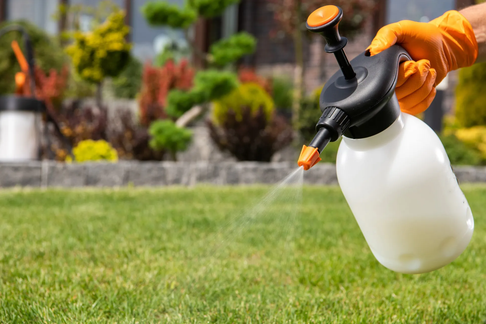 Fungus & Disease Control Service — Lawn Solutions